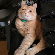 Mlody Maciej skins.army