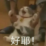 她与香蕉道皆失