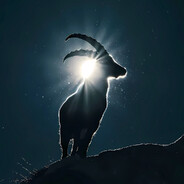 ღw1nks