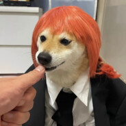 已经暴力喜欢上龙老师