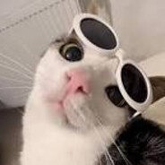 ◤✞𝕯𝖆𝖗𝖐 𝕬𝖓