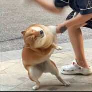 她说她是晒黑的