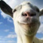 Scapegoat