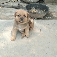 唯信仰与日月亘古不灭