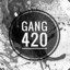 gang420 kick.com/crazybluntz