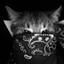 cherna_a