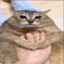 TittenMonsterOma1