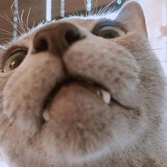 Yeah.whY (ノᵪДᵪノ)⌒