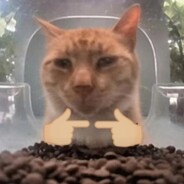 不要窥探我的成分