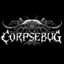 Corpsebug