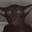 MAACC-