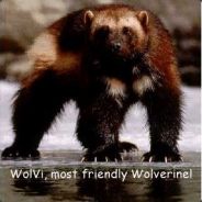 WolVi - steam id 76561197961174011