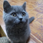 上上下下左右左右BA