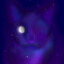 NightKat13
