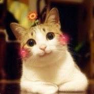 观己观无过自省