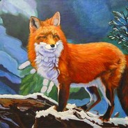 MrFoxer