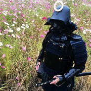 入目无他人 四下皆是你