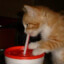 ハーモニー