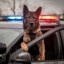 POLICE DOG