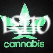 sexion d'assault seek team