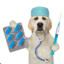 perrito doctor