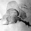 Simo Häyhä