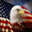 BaldEagle1776