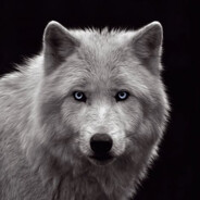 WiLL MaLLeCKeN || DeRWiXeR