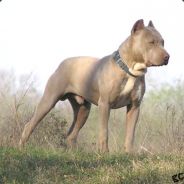 [L]asse|$$| Kom pussy!