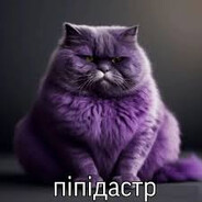 не софтер