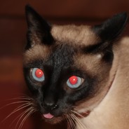 Lacitis82LV avatar