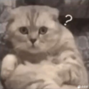 打不过我能怎么办嘛