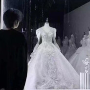 北山的风吹不到南山尾