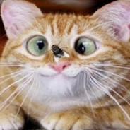 kjik naar hem picture