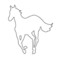 White Pony