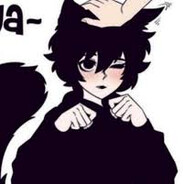 Kitty Boi