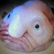 дикий лосось - steam id 76561198164886446