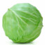 A Nice Cabbage