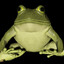 Frog Enjoyer