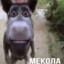 Sysidmykola
