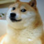 JGoCrxzy