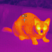 Thermal Cat 热猫