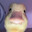 ELON DUCK*