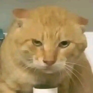 你知道我是谁吗