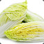 TheYellowCabbage