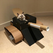 Кот в танке