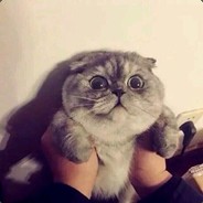 Big Avatar