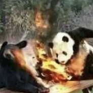 吃ww头也不带我