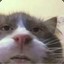 Edward R. Meow