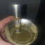 EL MATE DEL EMBER